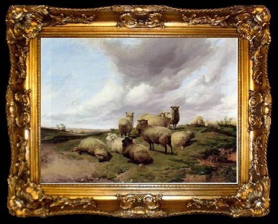 framed  unknow artist Sheep 146, ta009-2